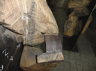 DSCF2238